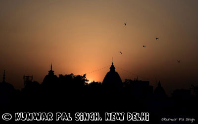 Kunwar Pal Singh - New Delhi