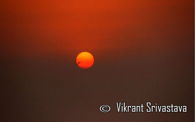 Photo of the Day :: Vikrant Srivastava - Gurgaon