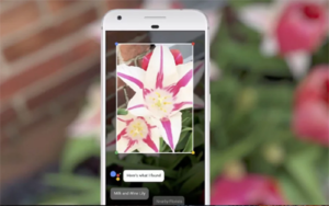 Google Lens :: A New initiative by Google