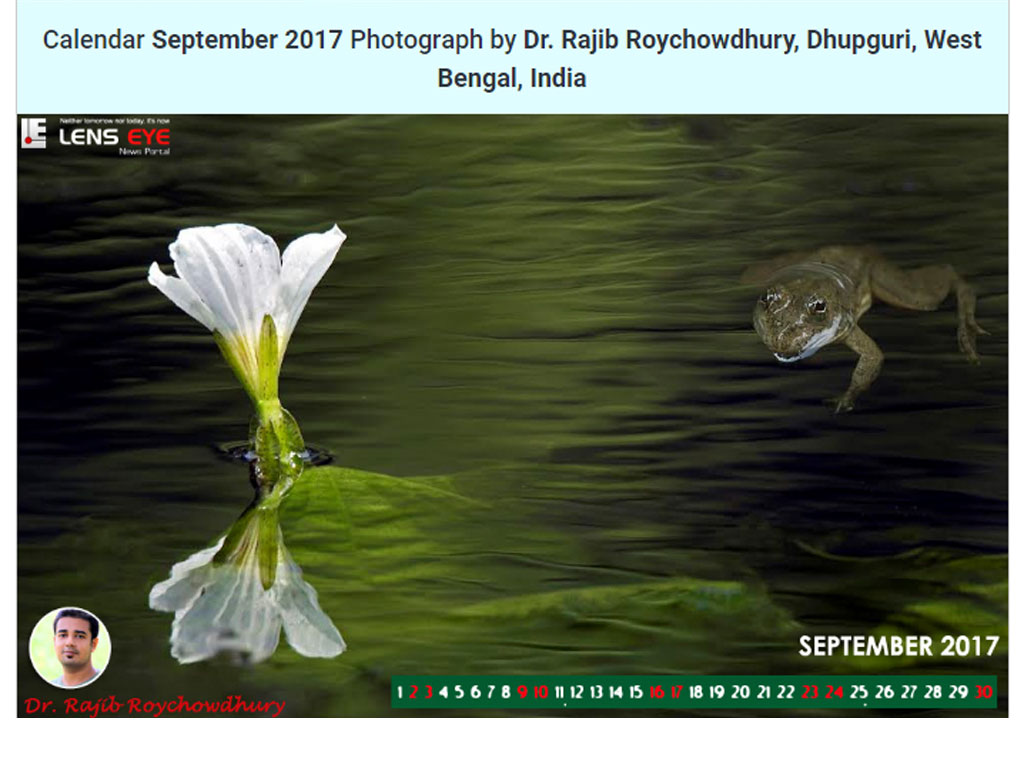 Lens Eye’s  e- Calender : September - 2017 :: Dr. Rajib Roychowdhury [  Dhupguri, West Bengal, India ]