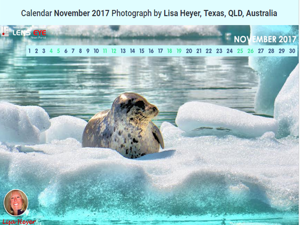 Lens Eye’s  e- Calender : November - 2017 :: Lisa Heyer, Texas, QLD, Australia