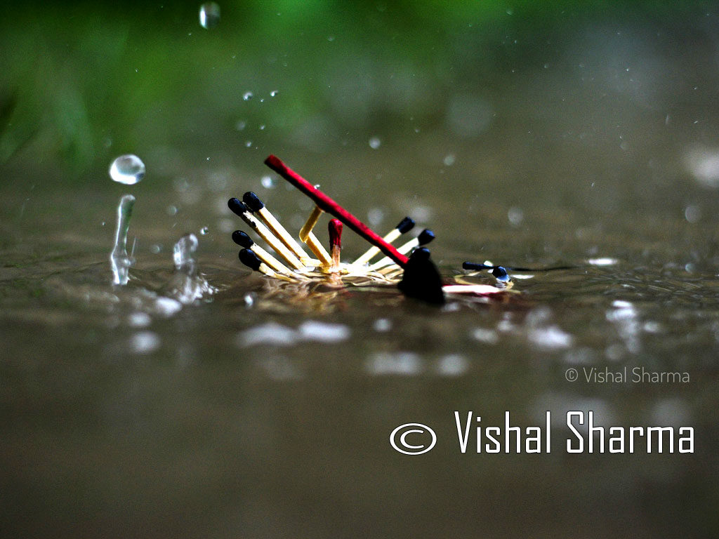 Photo of the Day :: Vishal Sharma - Assam