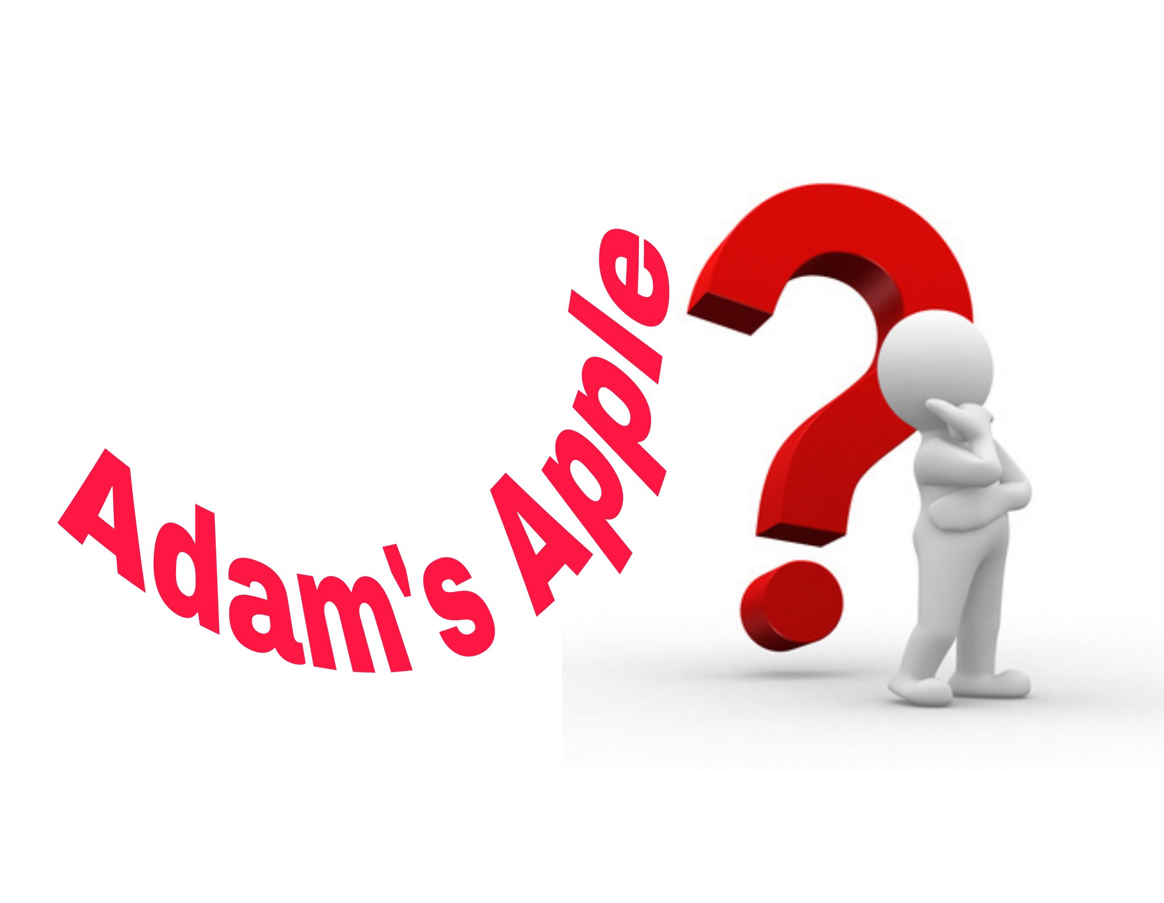 Adam's apple 